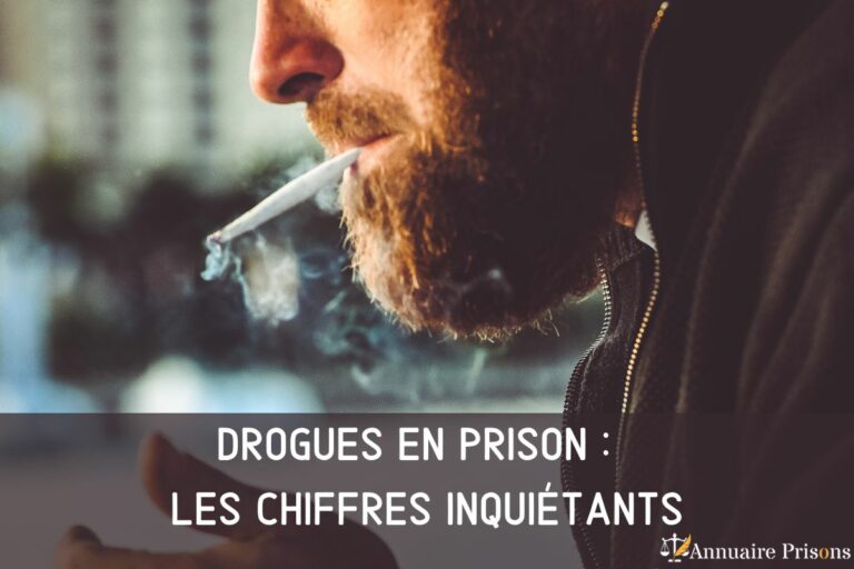 drogues en prison les chiffres